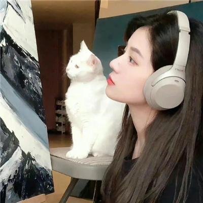 二战黑豹